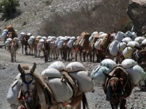 Караван в горах Афганистана